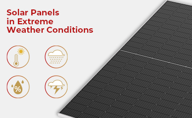 Von Regentropfen zu Strahlen: Entdecken Sie, wie sich Sonnenkollektoren an das sich ständig ändernde Wetter anpassen